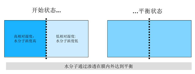 膜干燥器工作原理
